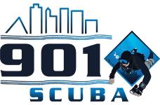 cropped logo.png