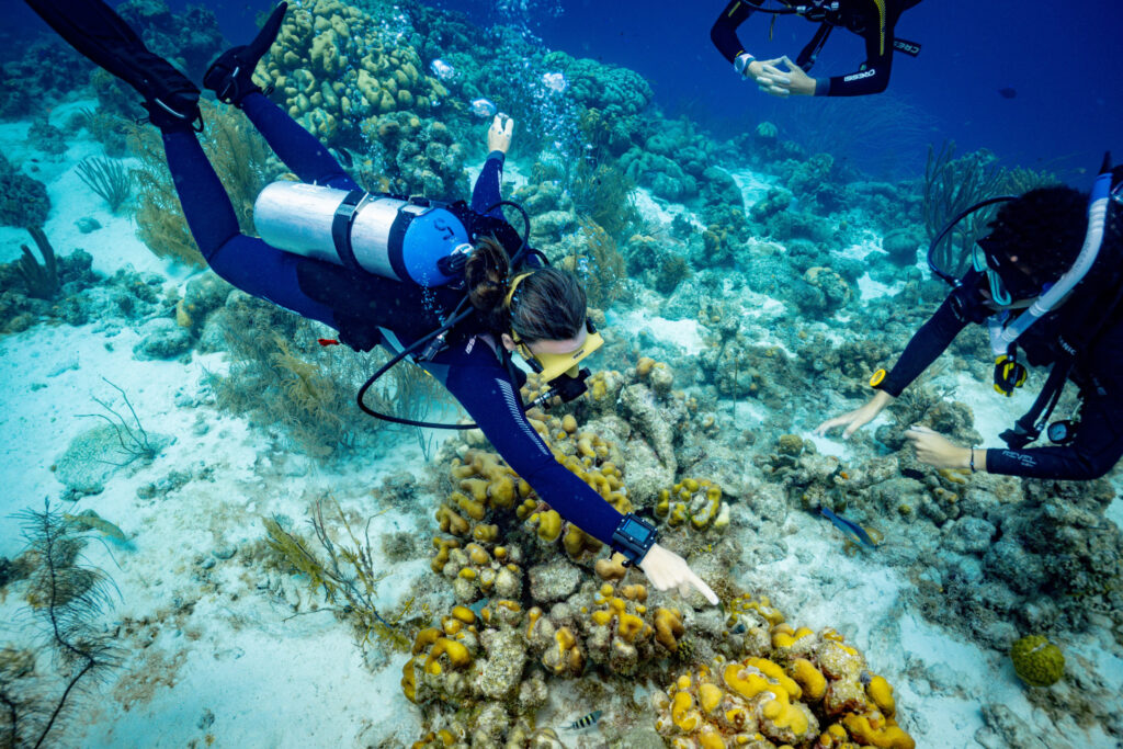 OW Scuba Diver specialty Photos taken for the OWSDI shoot in Bonaire